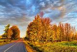 Autumn Road At Sunrise_29952